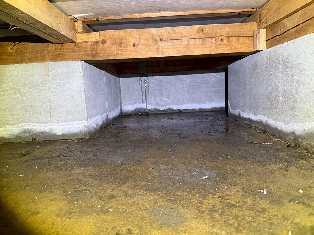 美園ベースの湿気対策 事例