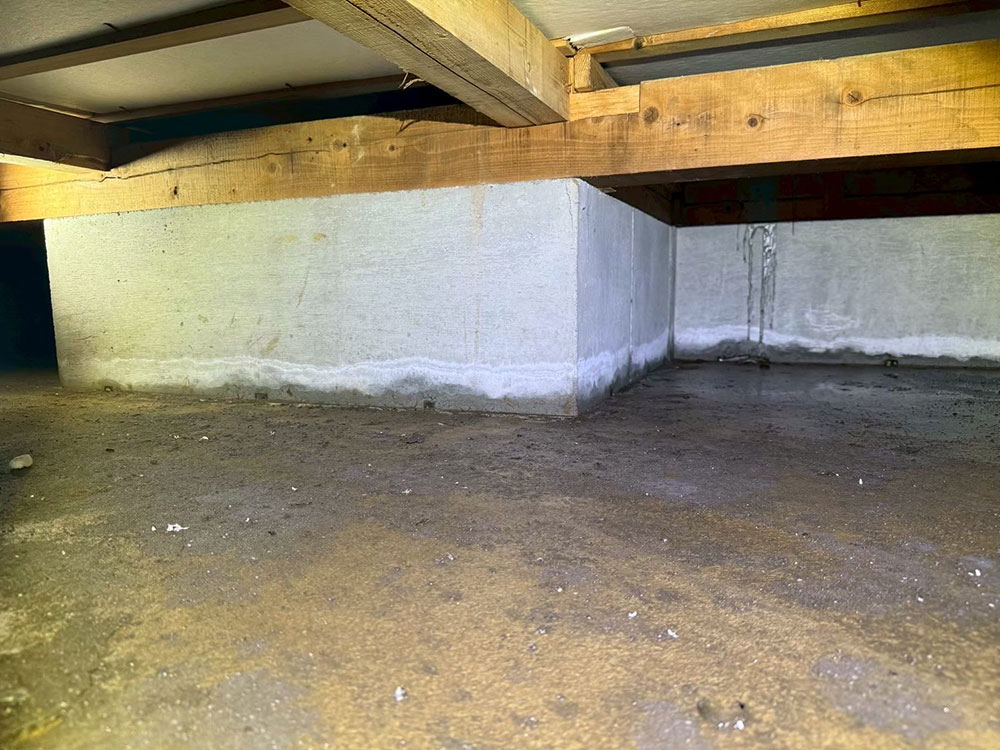 美園ベースの湿気対策 事例