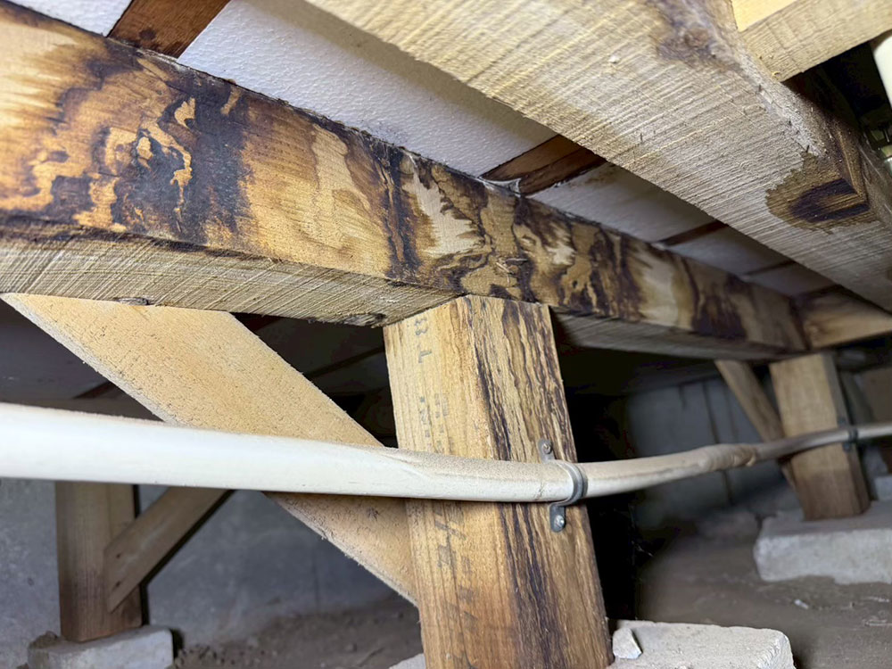 美園ベースの湿気対策 事例