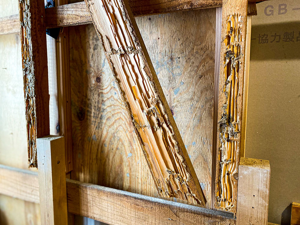 シロアリ被害の例